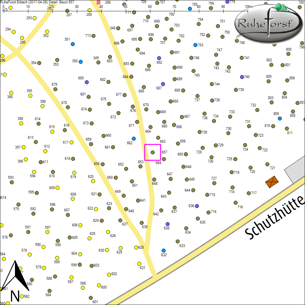 Detailkarte zu Baum 657