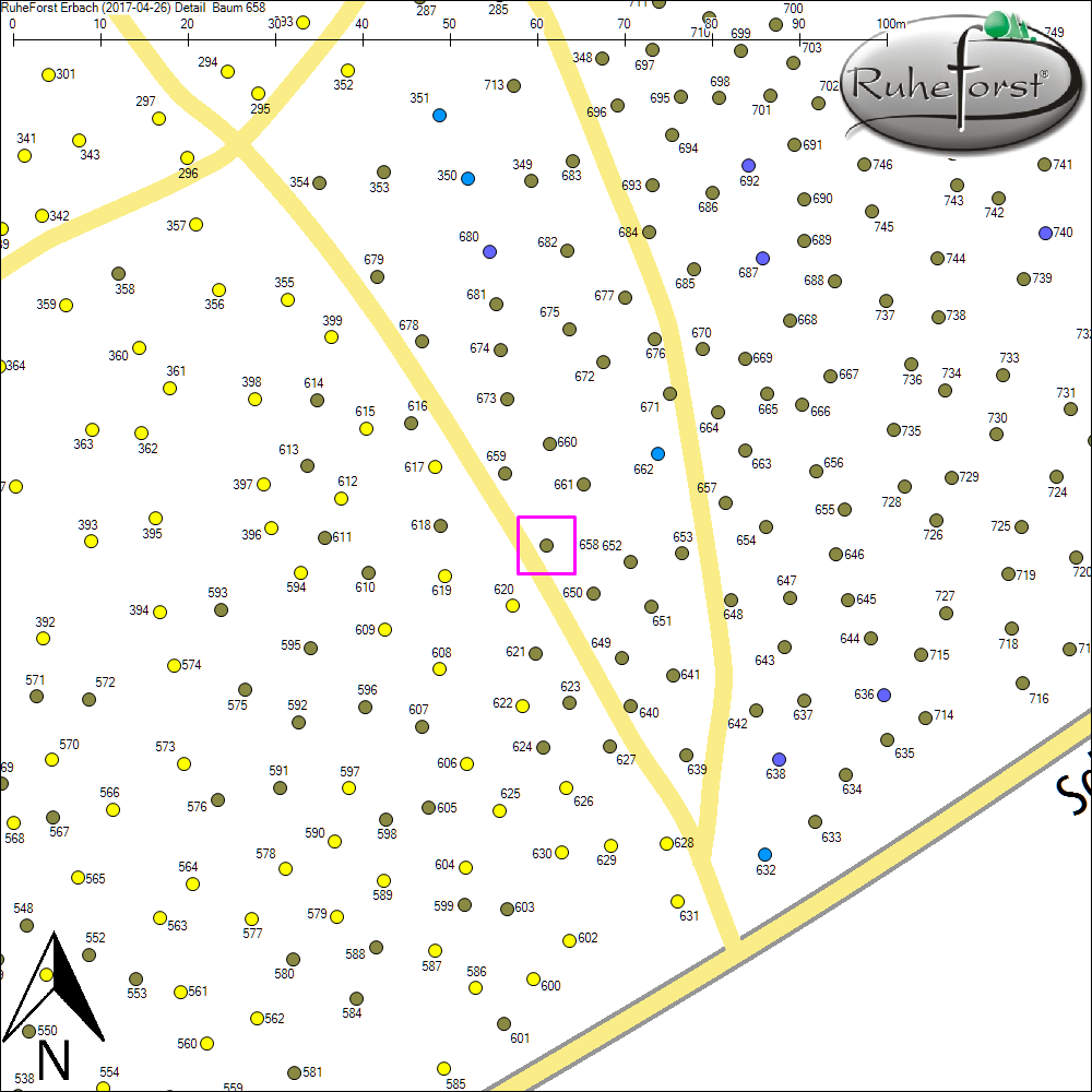Detailkarte zu Baum 658