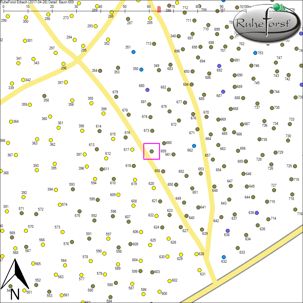 Detailkarte zu Baum 659