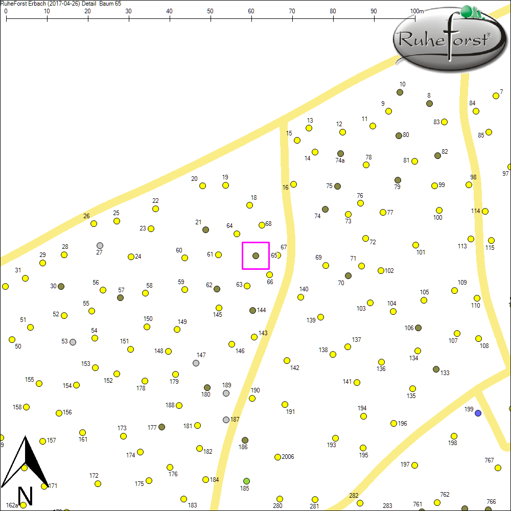 Detailkarte zu Baum 65