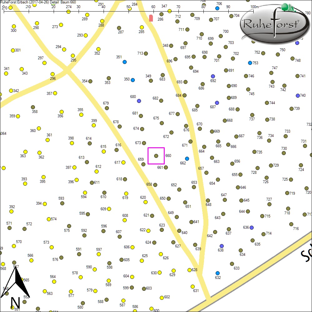 Detailkarte zu Baum 660