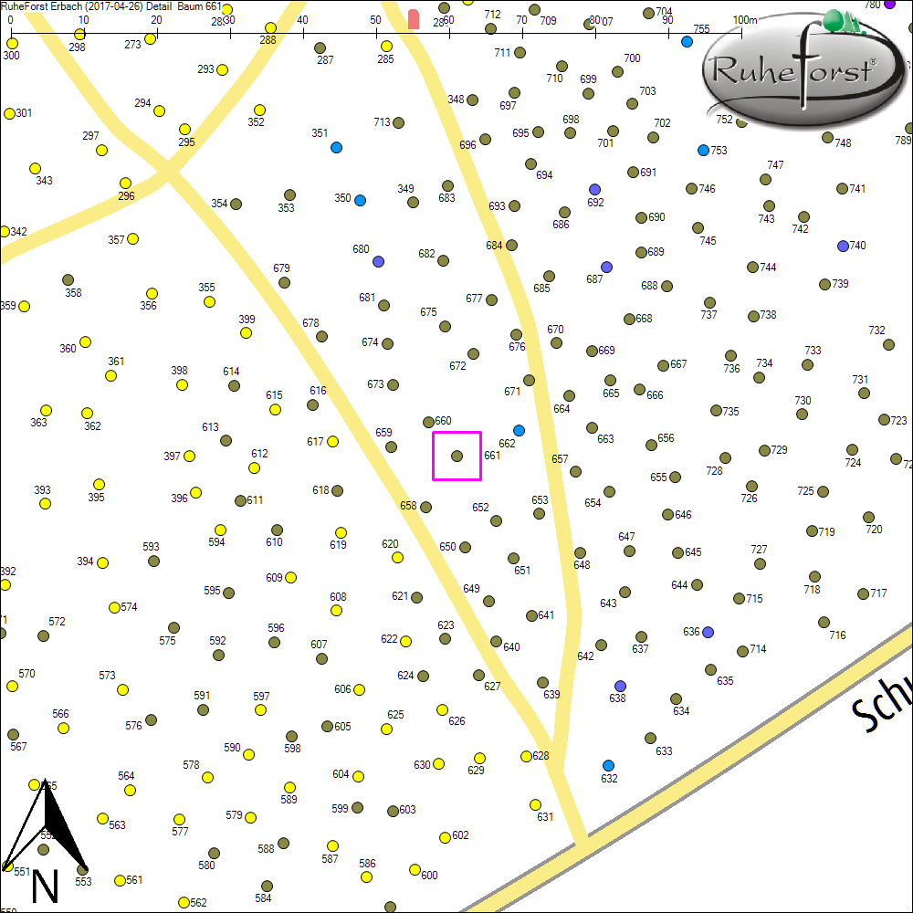 Detailkarte zu Baum 661