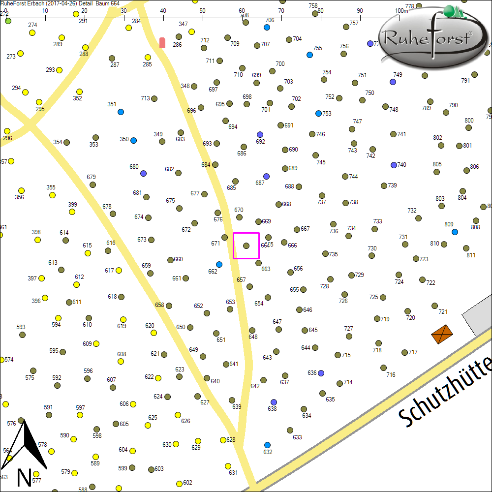 Detailkarte zu Baum 664