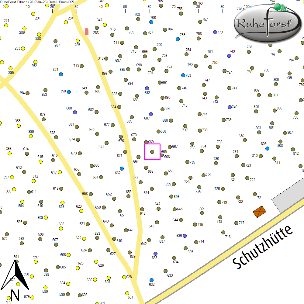 Detailkarte zu Baum 665