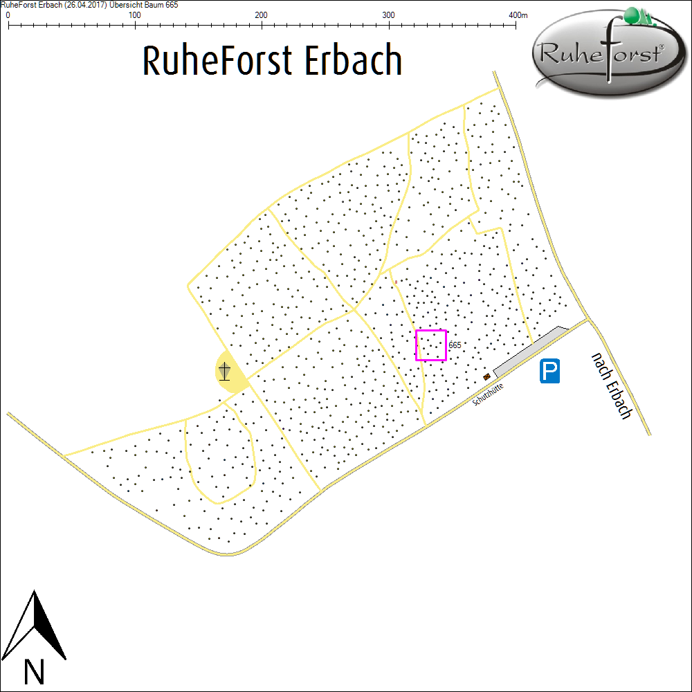 &Uuml;bersichtskarte zu Baum 665