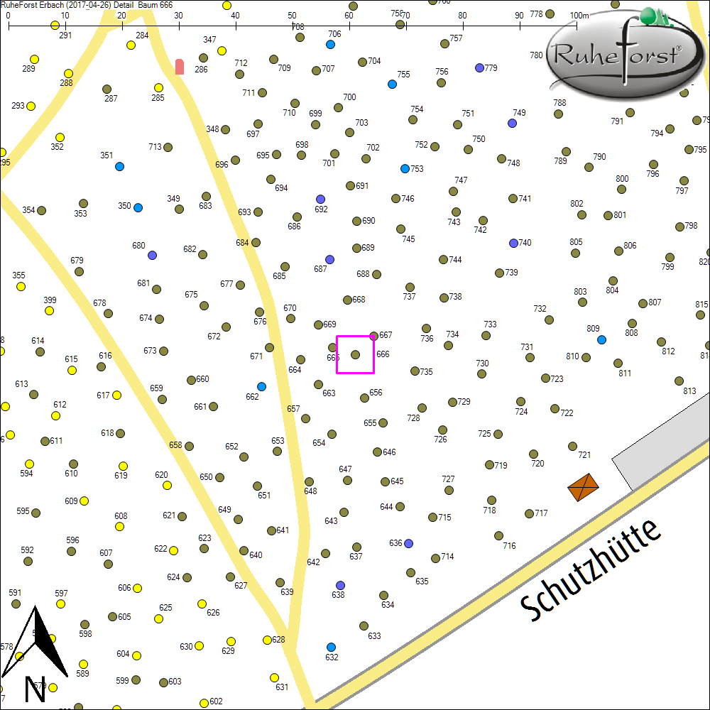 Detailkarte zu Baum 666