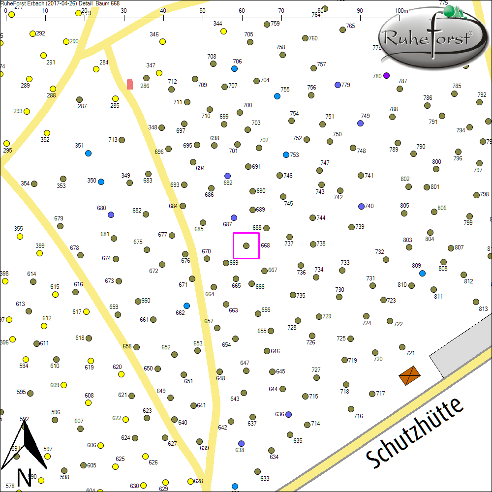 Detailkarte zu Baum 668