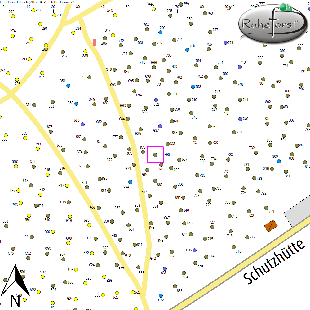 Detailkarte zu Baum 669