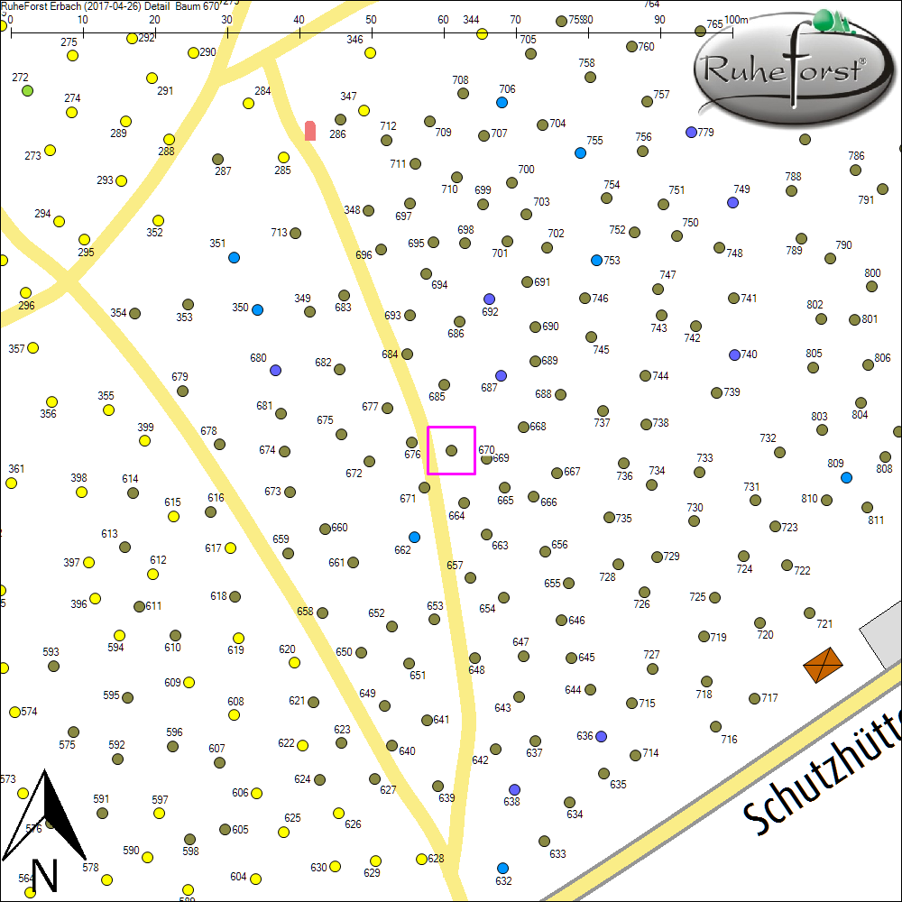 Detailkarte zu Baum 670