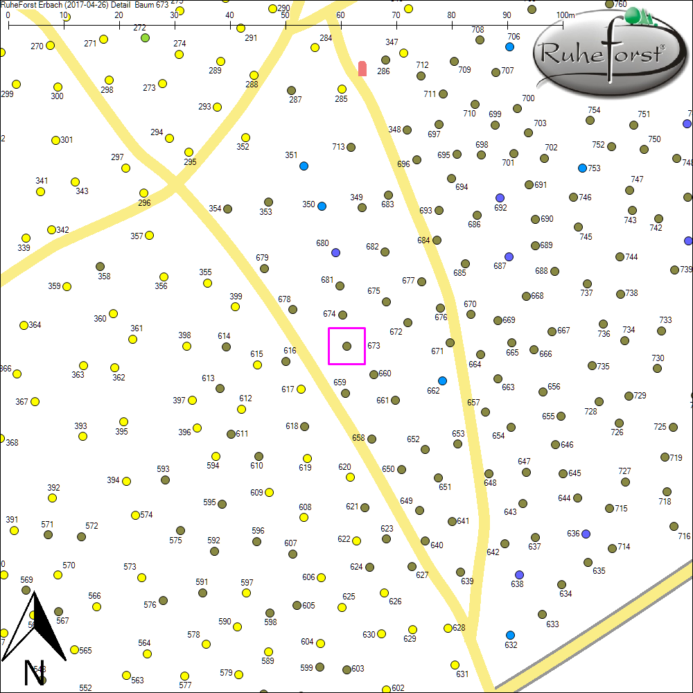 Detailkarte zu Baum 673