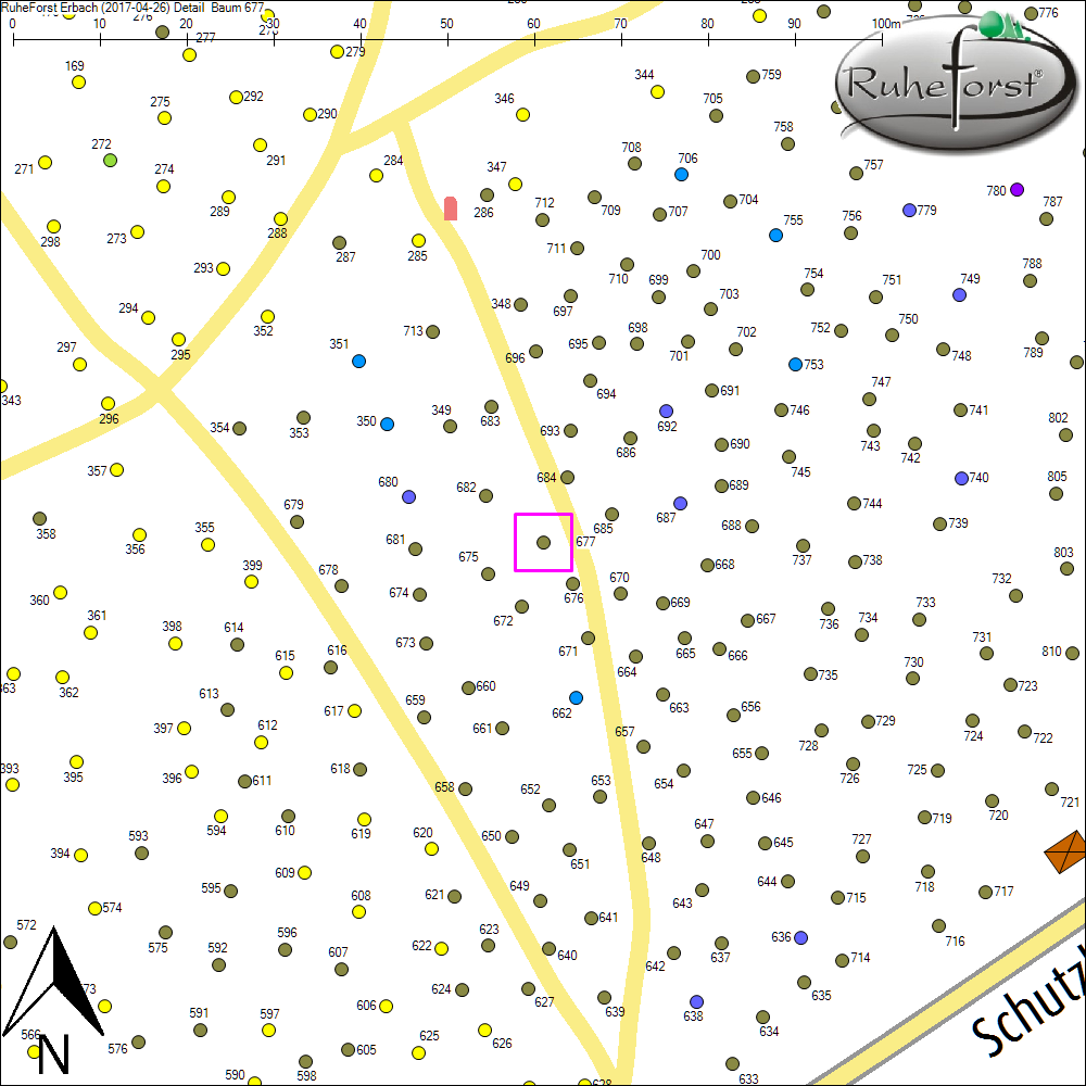 Detailkarte zu Baum 677