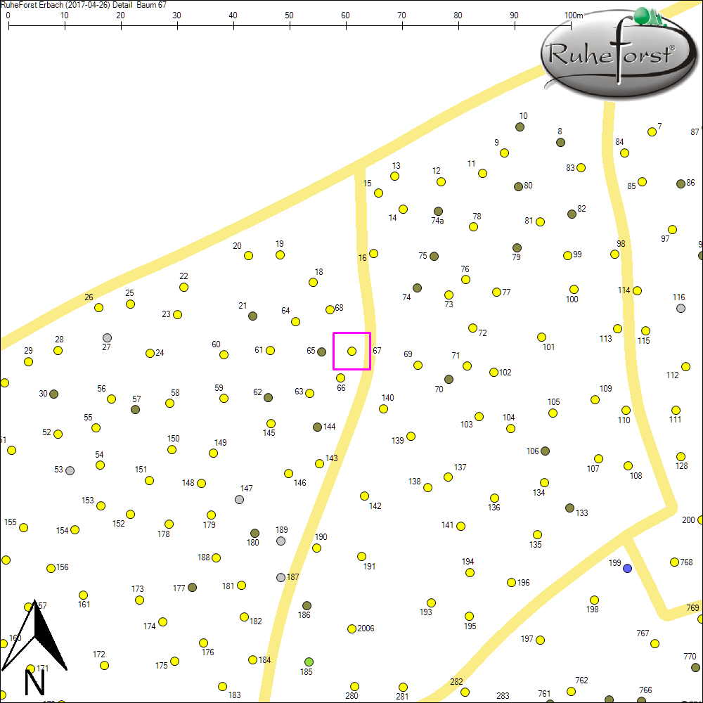 Detailkarte zu Baum 67
