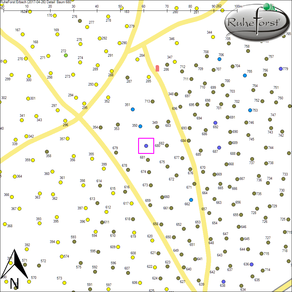 Detailkarte zu Baum 680