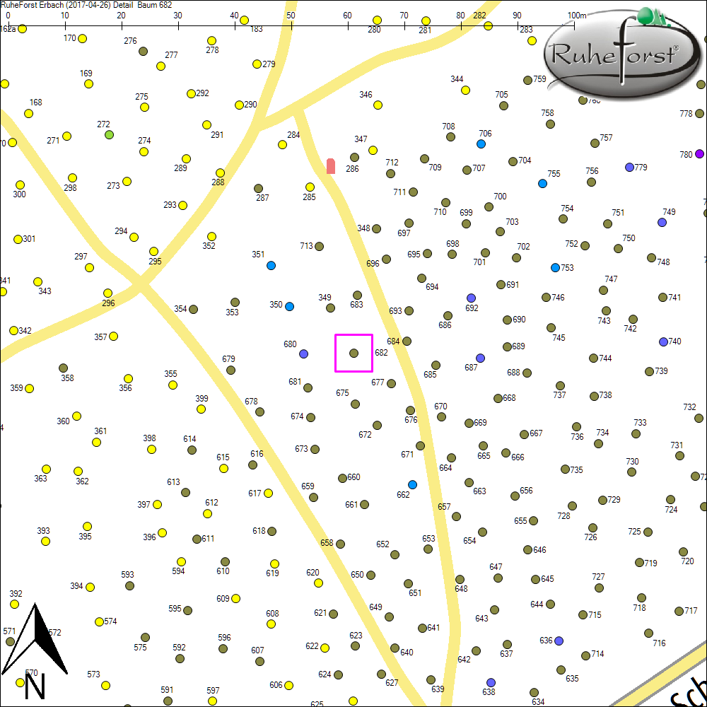 Detailkarte zu Baum 682