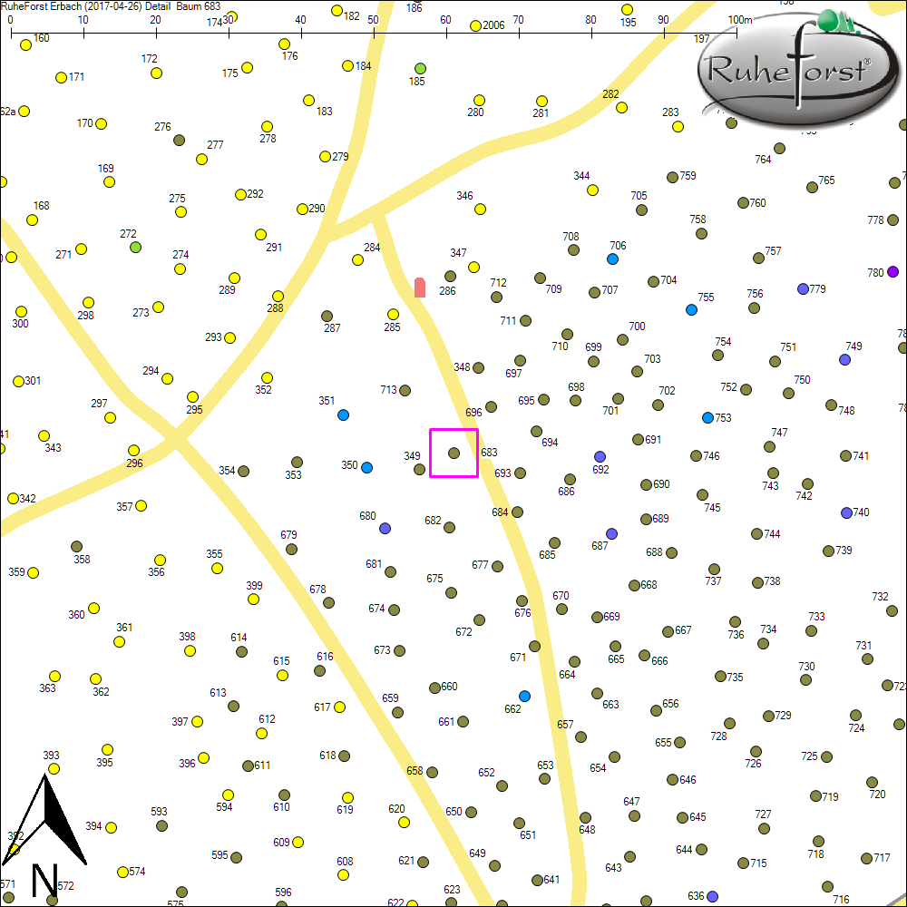 Detailkarte zu Baum 683