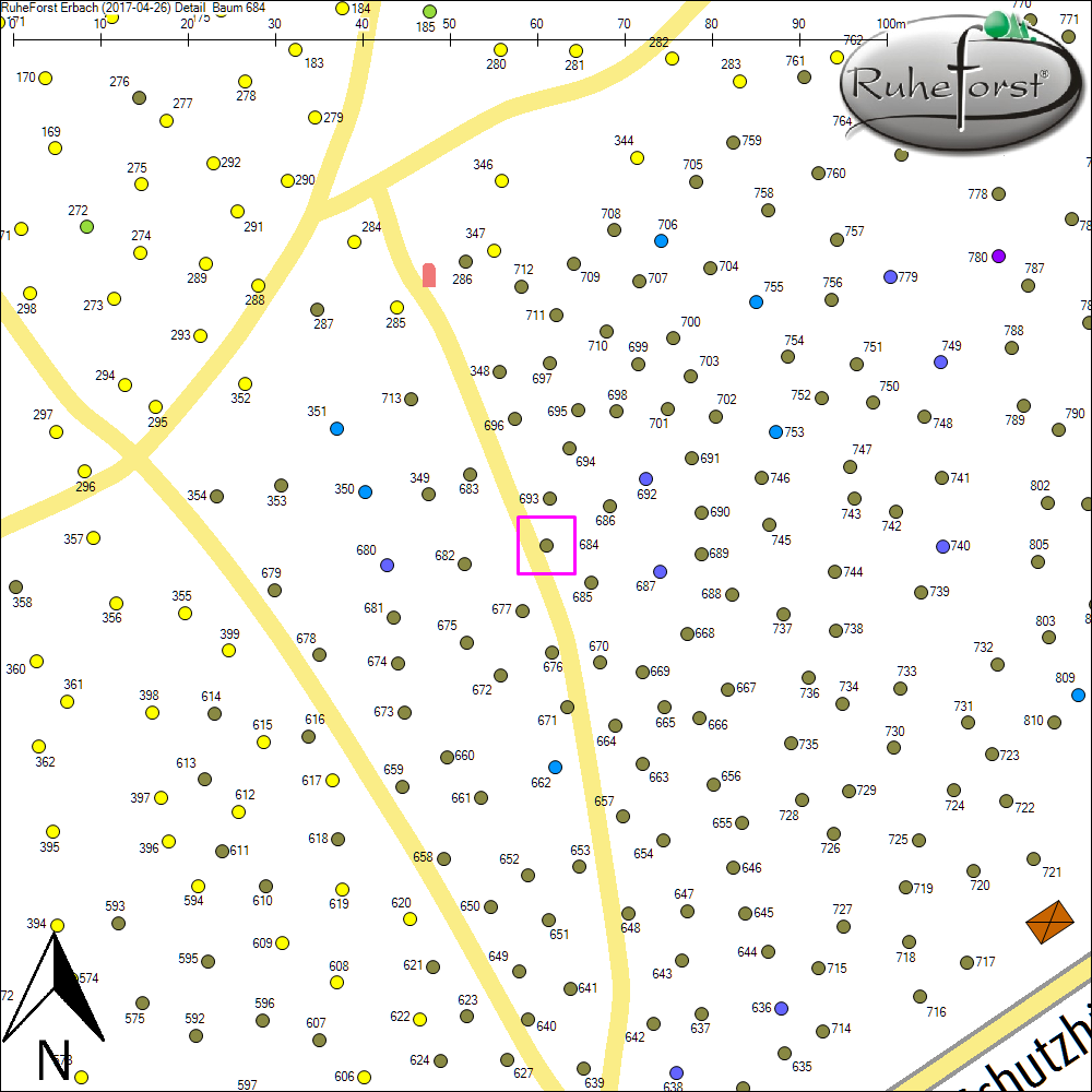 Detailkarte zu Baum 684