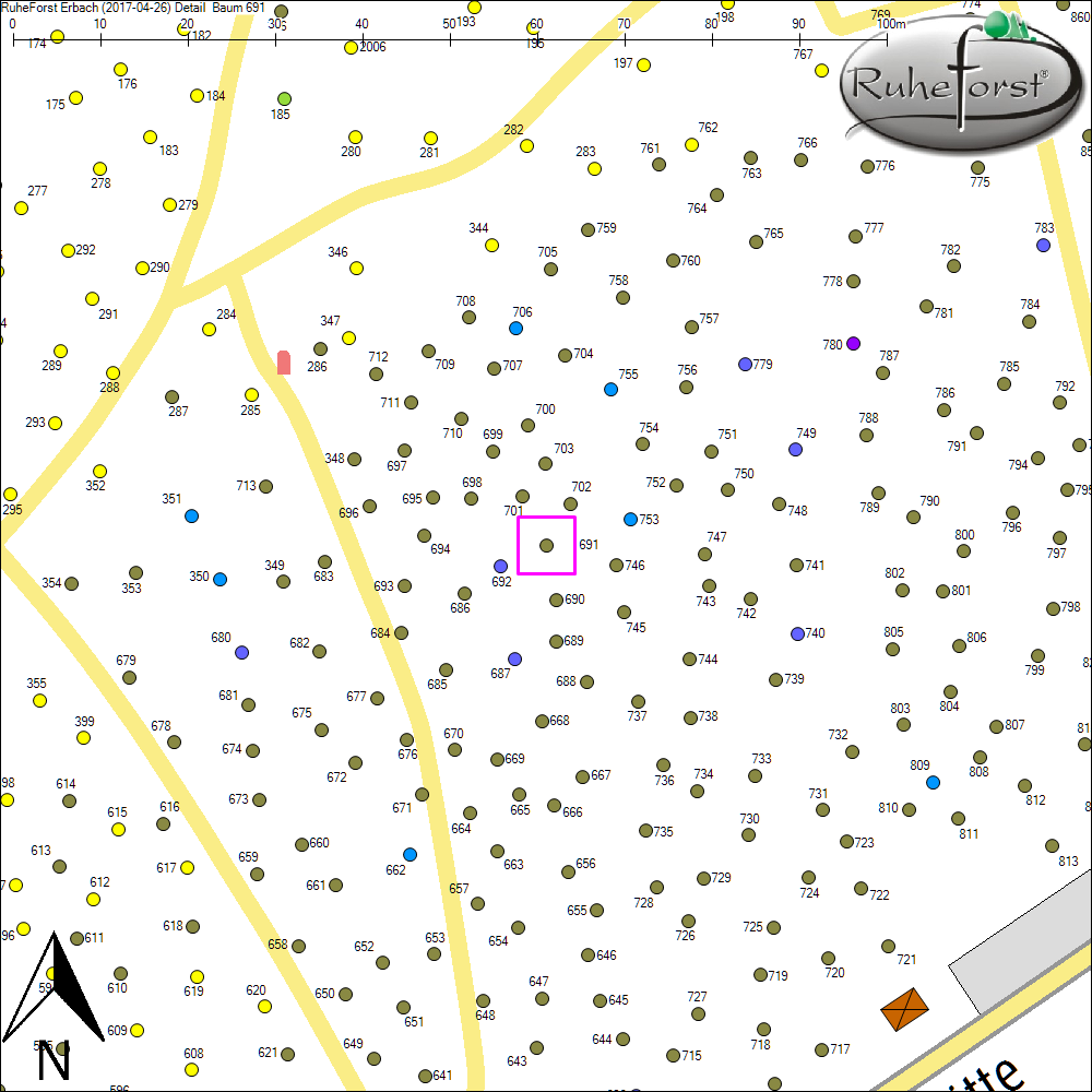 Detailkarte zu Baum 691