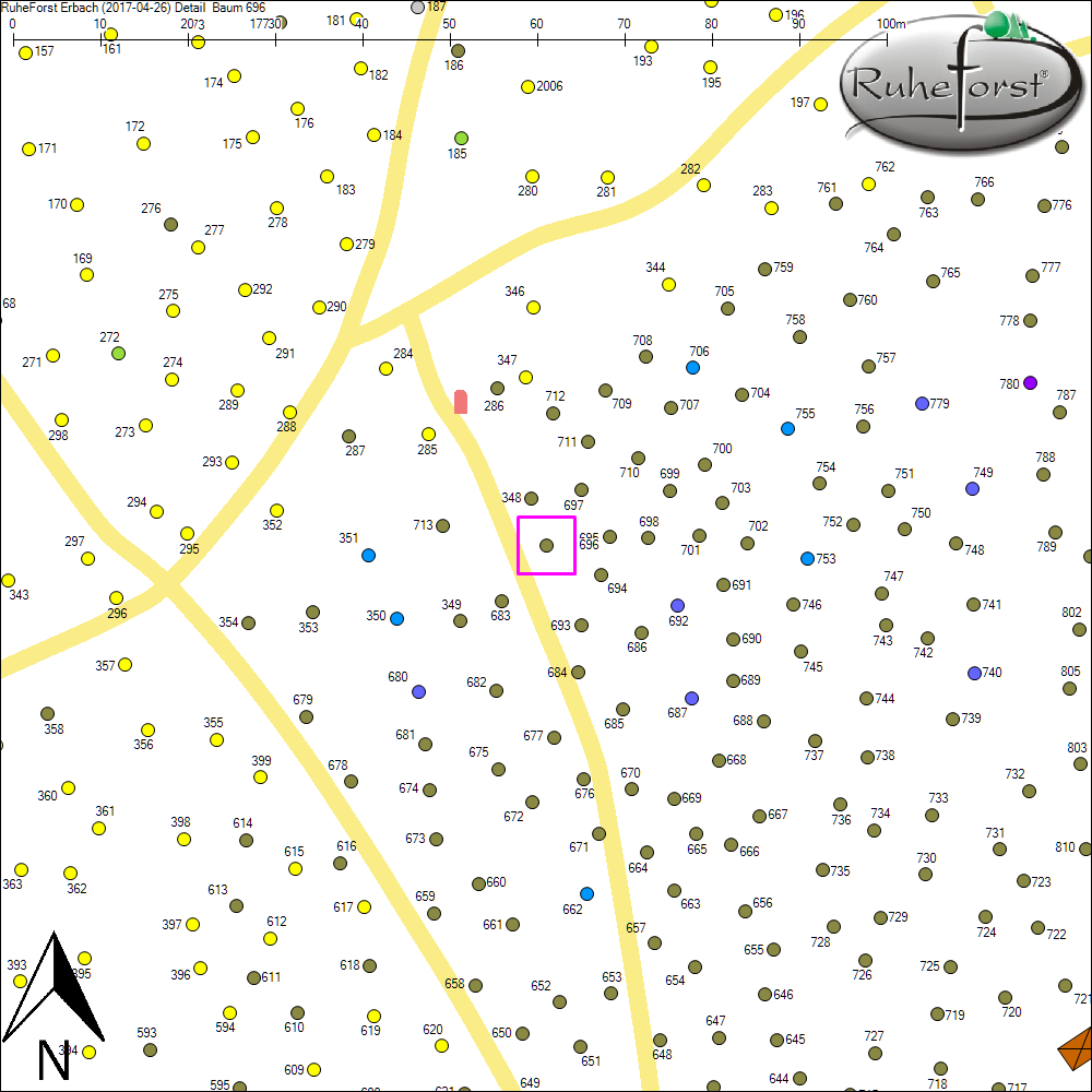 Detailkarte zu Baum 696
