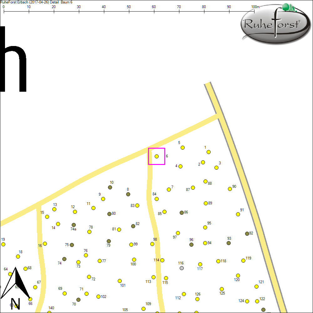 Detailkarte zu Baum 6