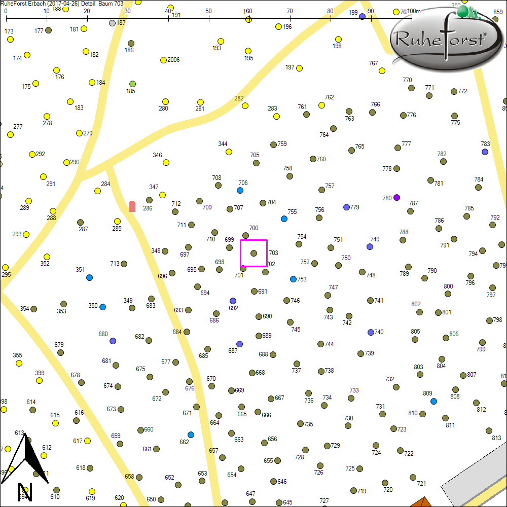Detailkarte zu Baum 703