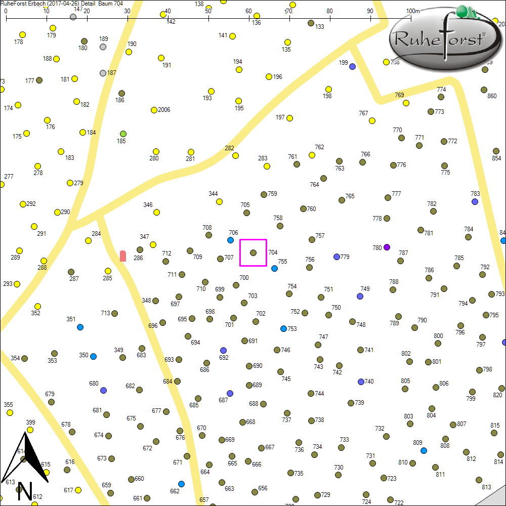 Detailkarte zu Baum 704