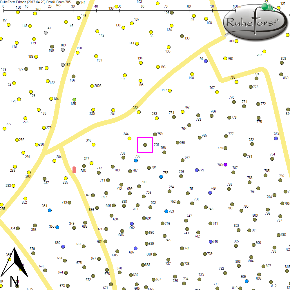 Detailkarte zu Baum 705