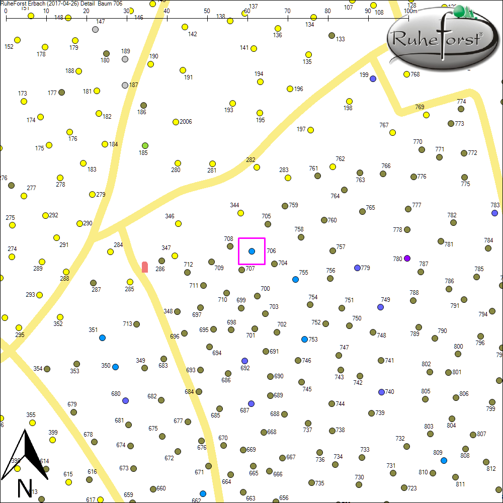 Detailkarte zu Baum 706