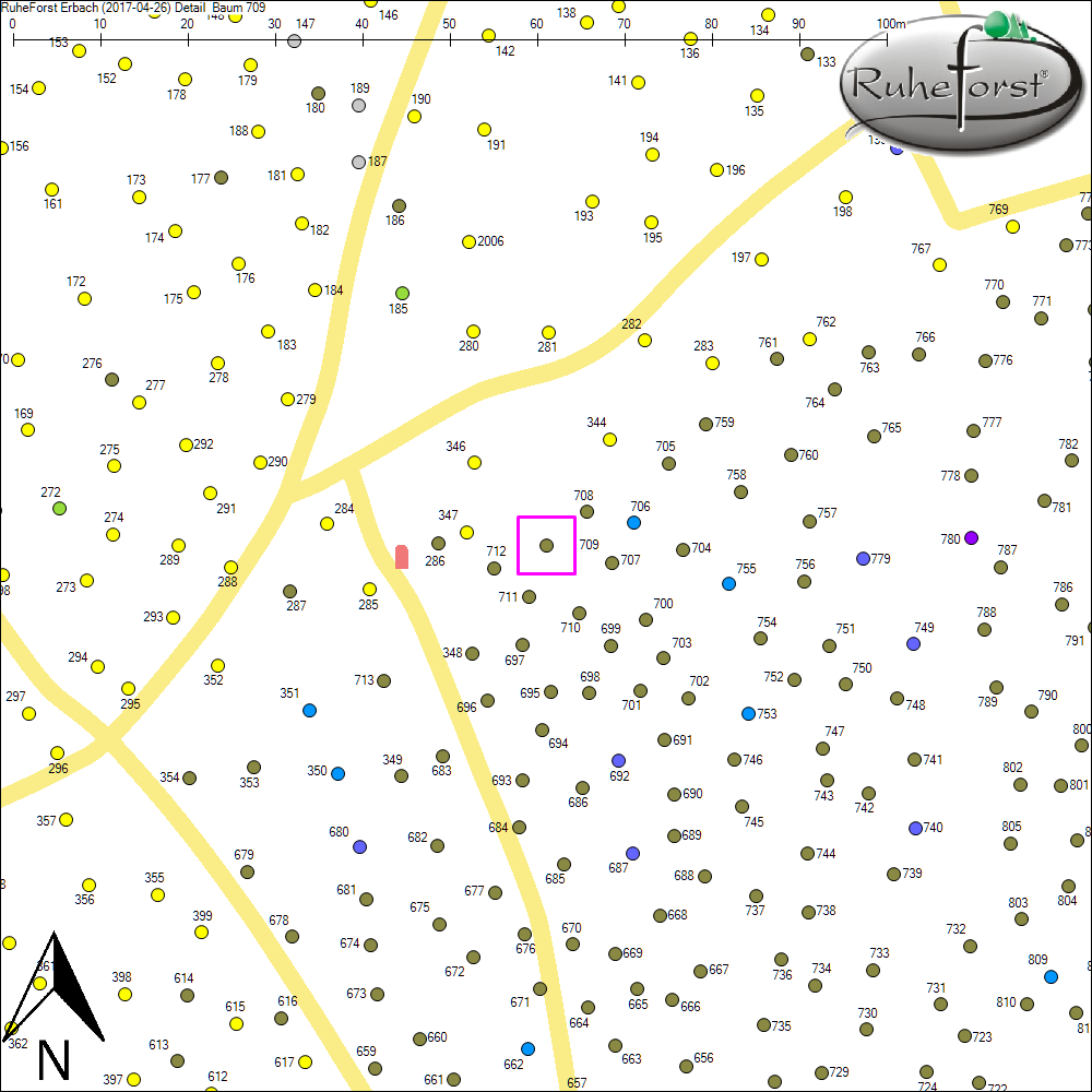 Detailkarte zu Baum 709