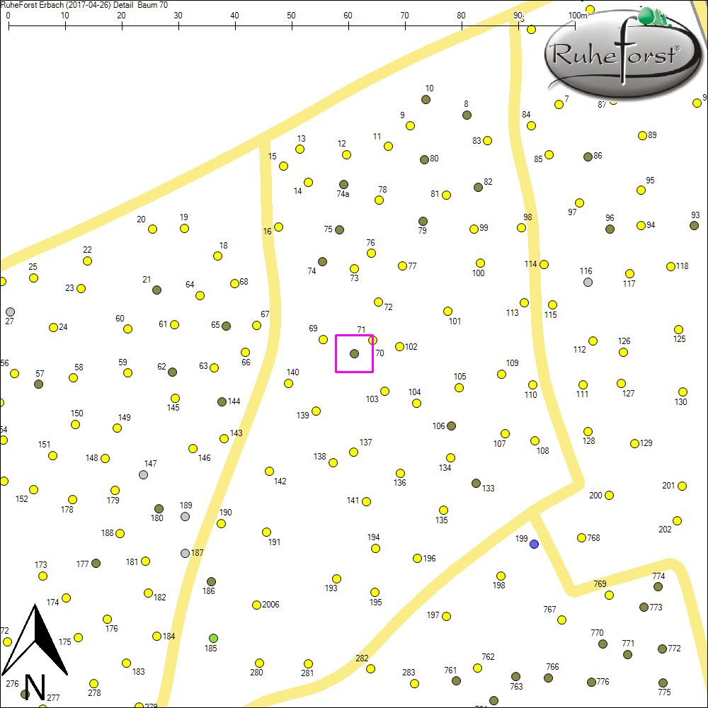 Detailkarte zu Baum 70