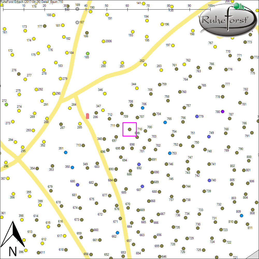 Detailkarte zu Baum 710