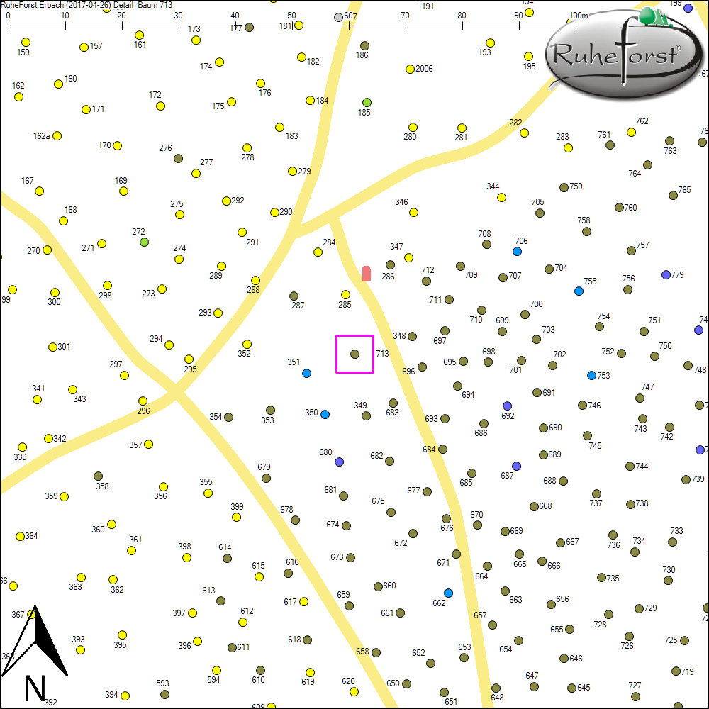 Detailkarte zu Baum 713