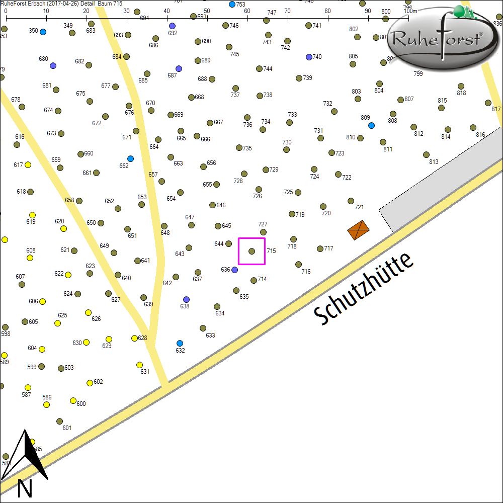 Detailkarte zu Baum 715
