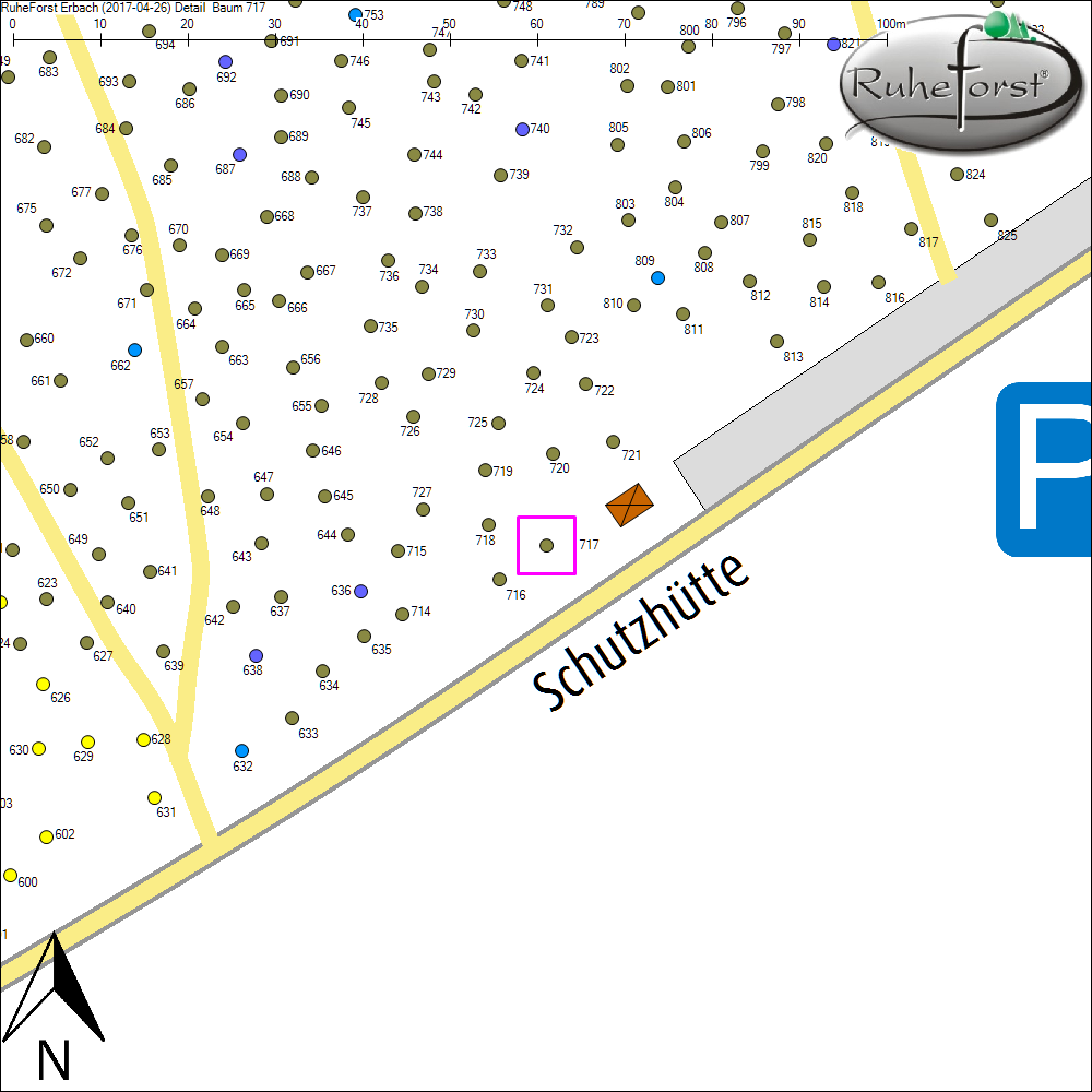 Detailkarte zu Baum 717