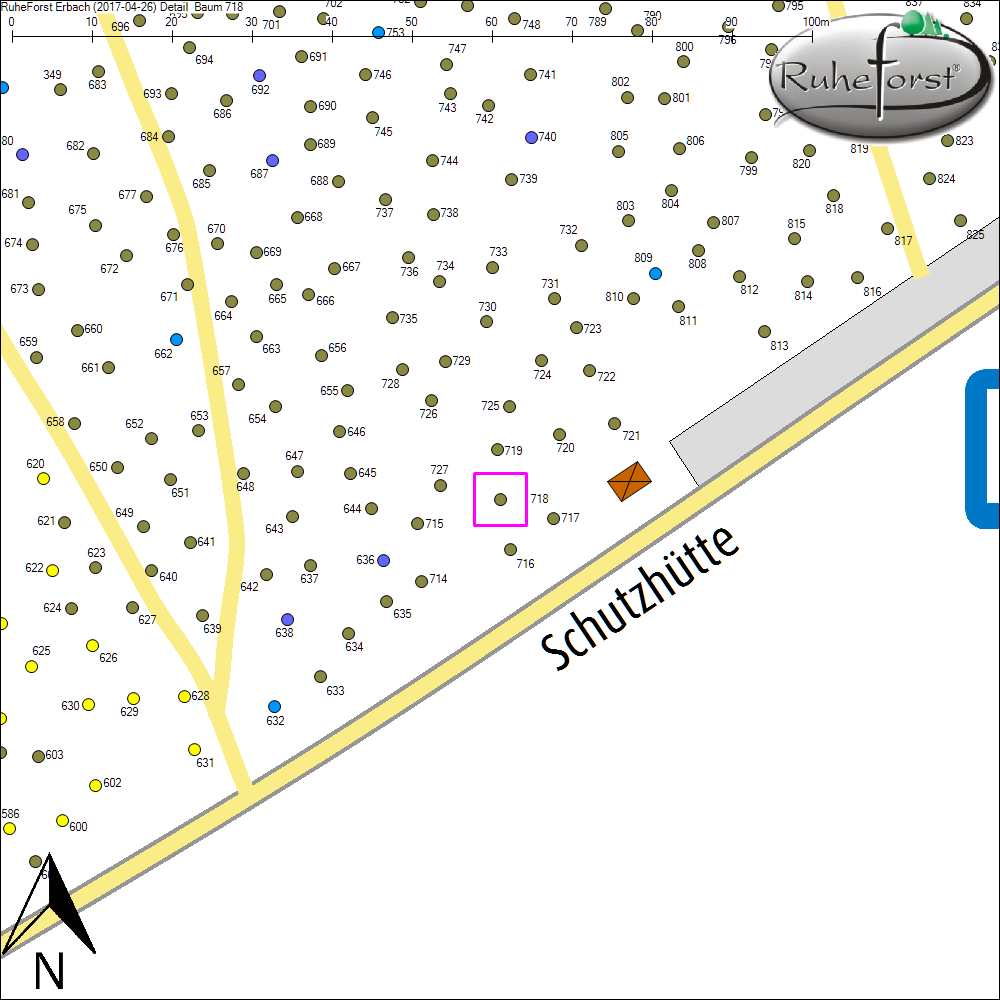 Detailkarte zu Baum 718