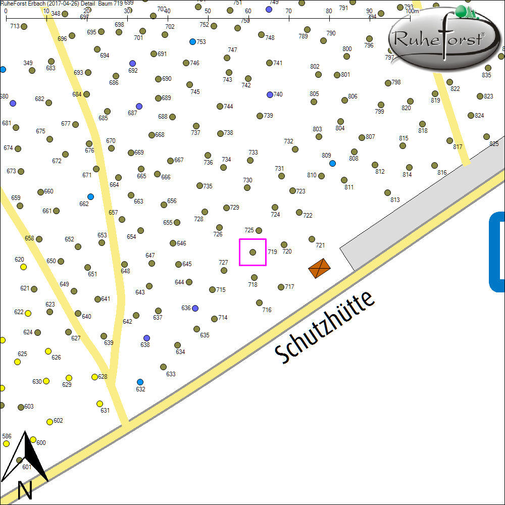 Detailkarte zu Baum 719