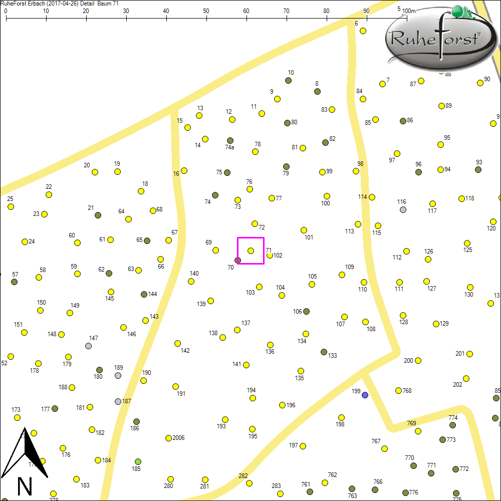 Detailkarte zu Baum 71