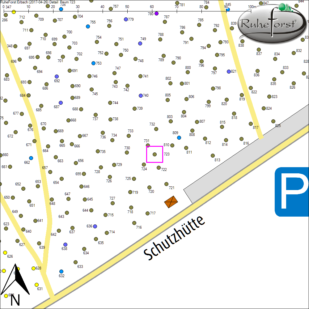 Detailkarte zu Baum 723
