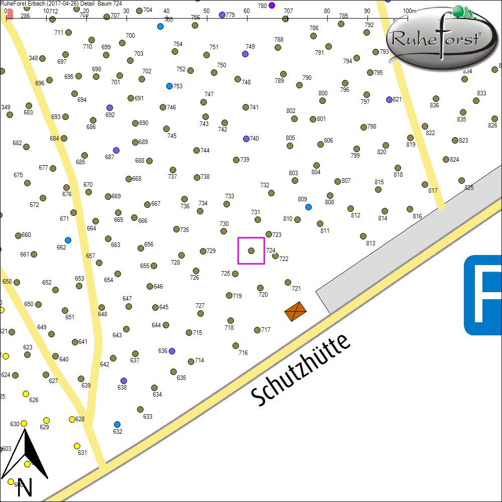 Detailkarte zu Baum 724