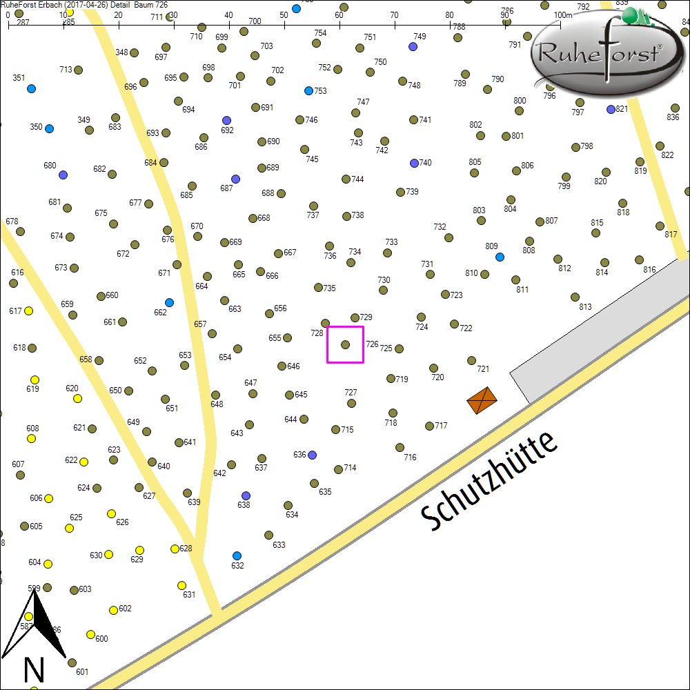 Detailkarte zu Baum 726