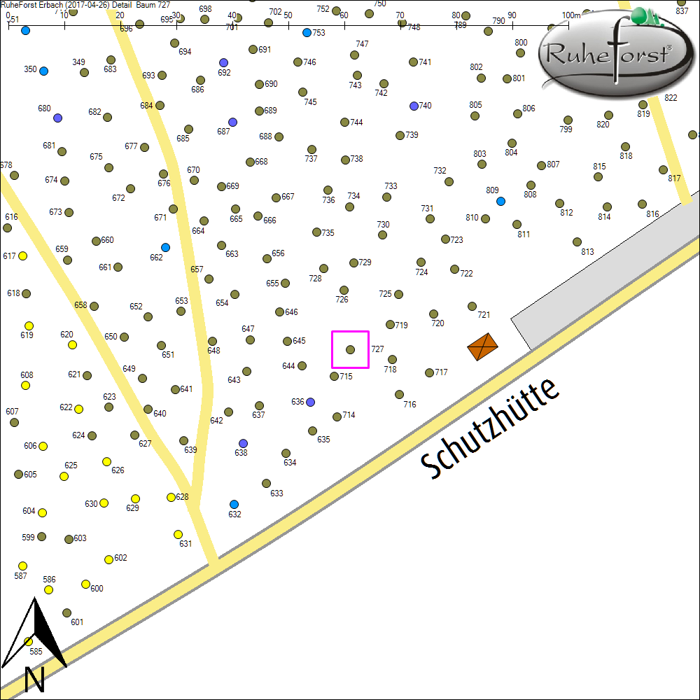 Detailkarte zu Baum 727