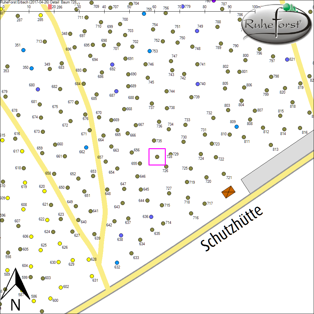 Detailkarte zu Baum 728
