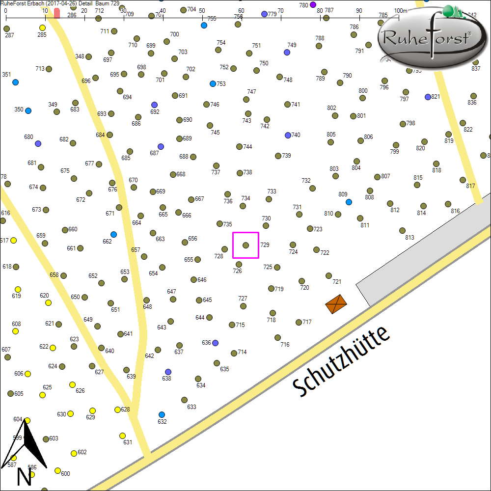 Detailkarte zu Baum 729