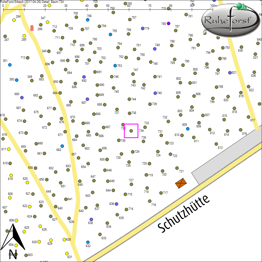 Detailkarte zu Baum 734