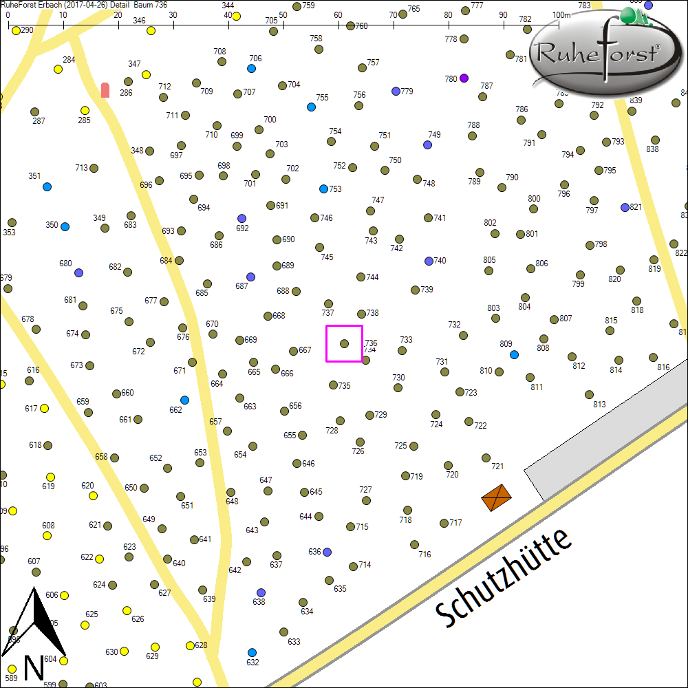 Detailkarte zu Baum 736