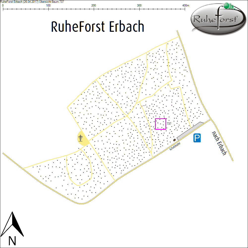 &Uuml;bersichtskarte zu Baum 737