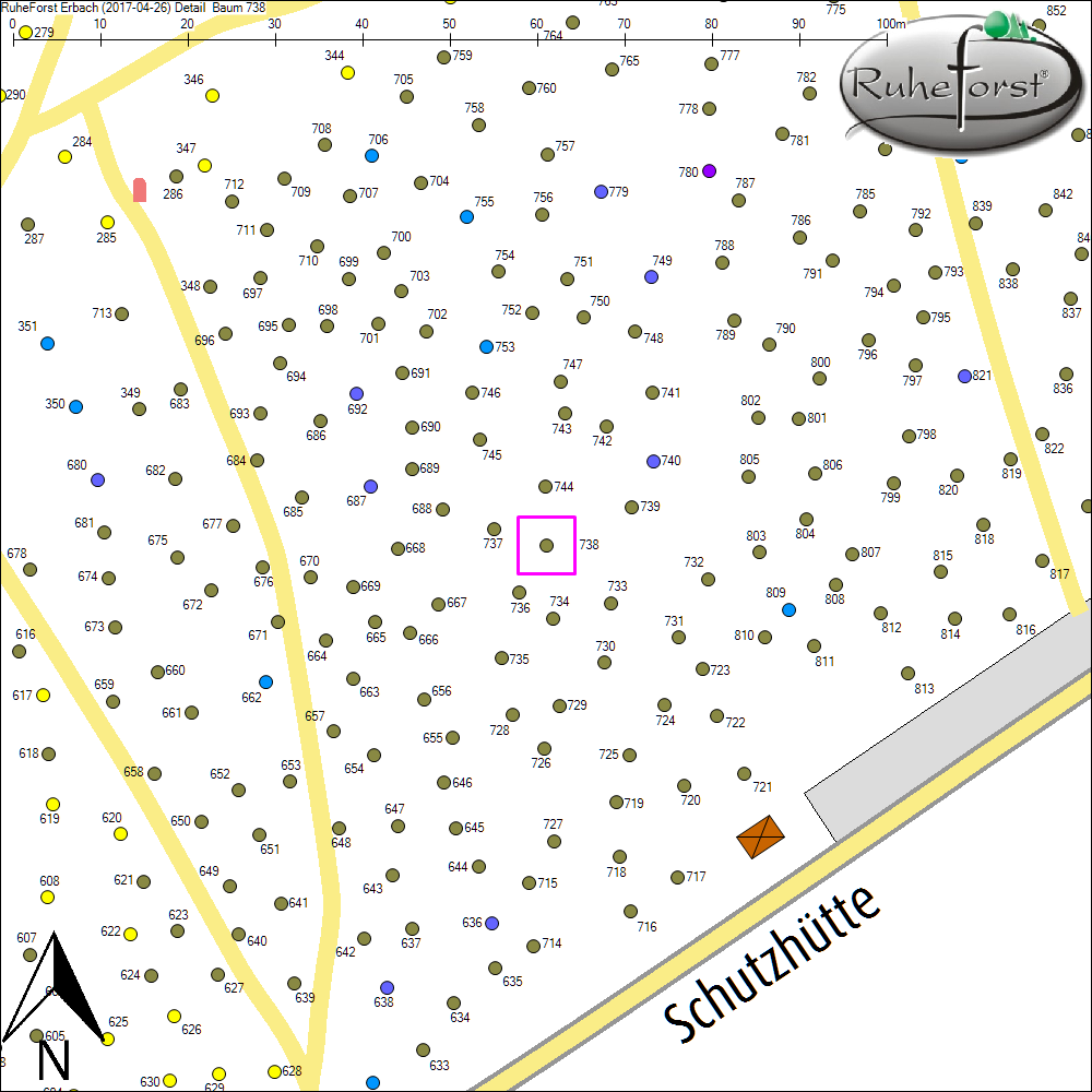 Detailkarte zu Baum 738