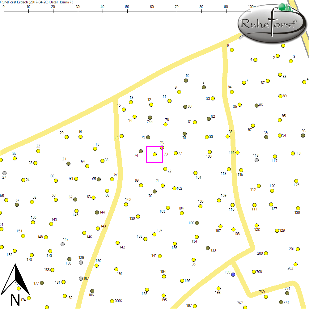 Detailkarte zu Baum 73