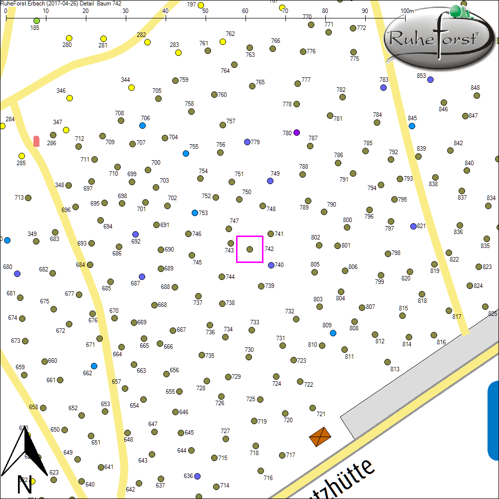 Detailkarte zu Baum 742