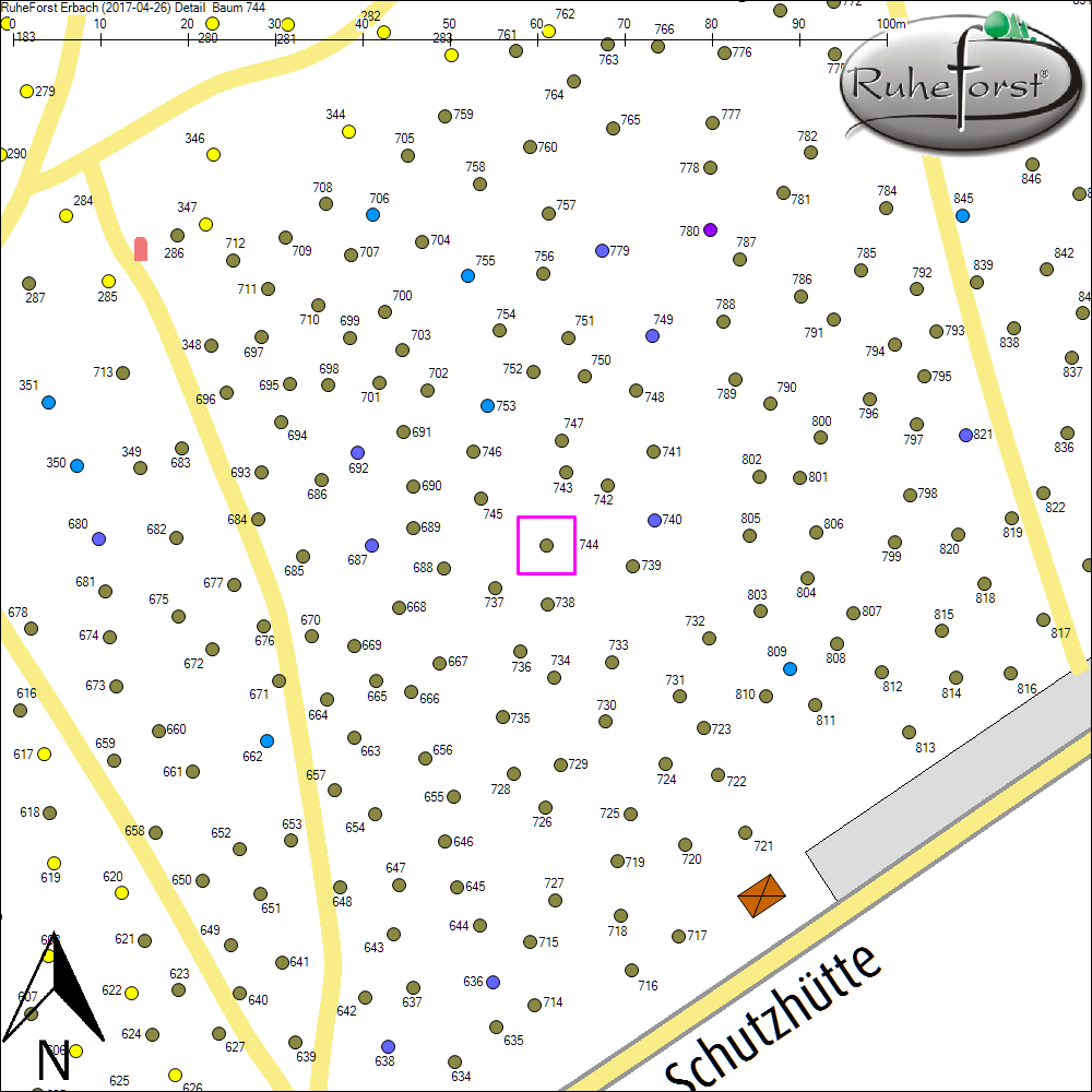 Detailkarte zu Baum 744