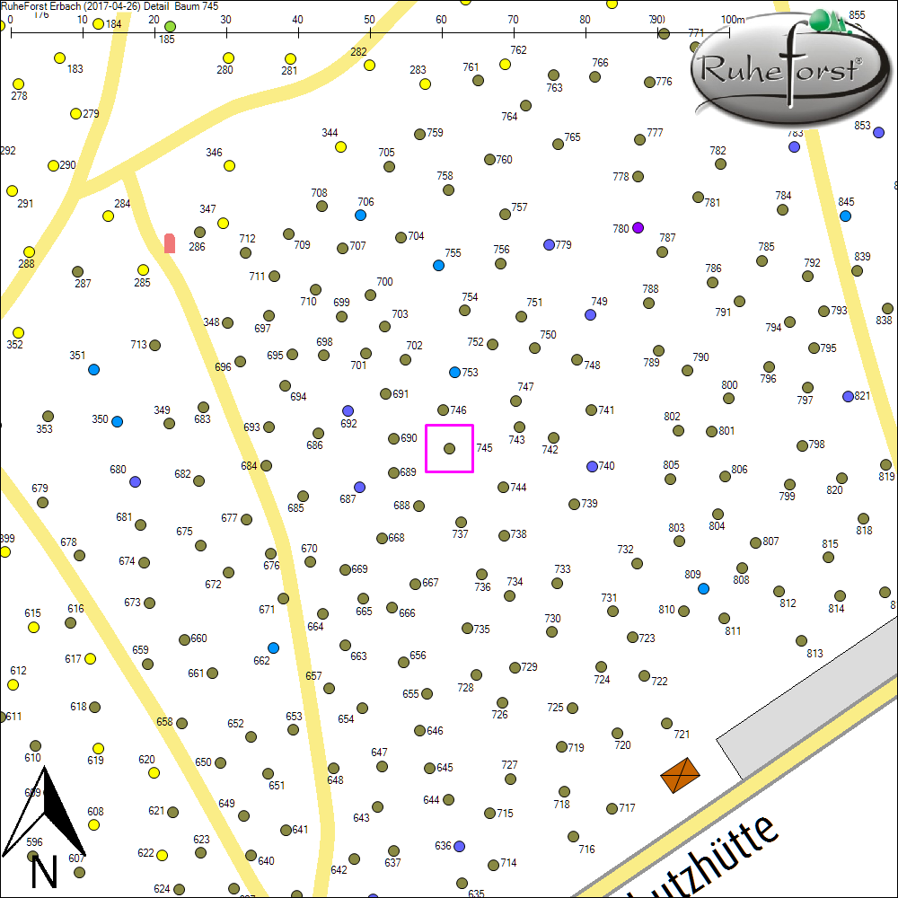Detailkarte zu Baum 745